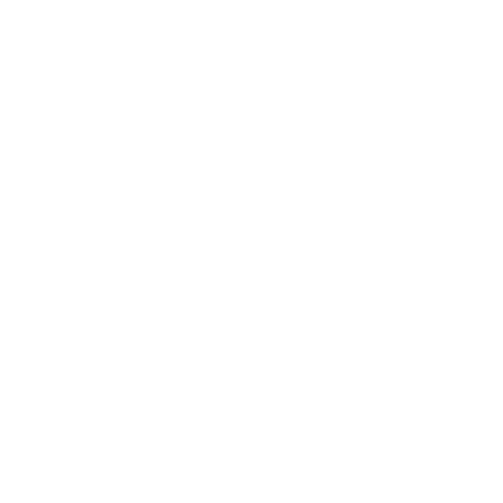 IG Logo